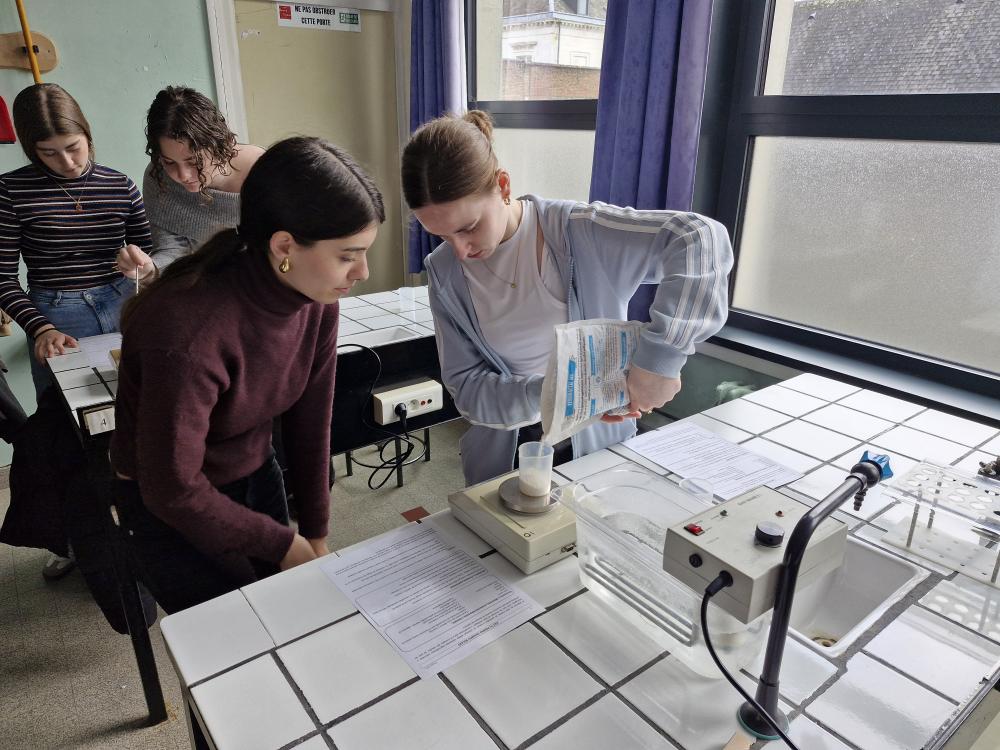 Élèves du lycée Sacré Cœur participant à un échange international dans le cadre du projet 4R's