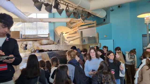 Élèves du lycée Sacré Cœur participant à un échange international dans le cadre du projet 4R's